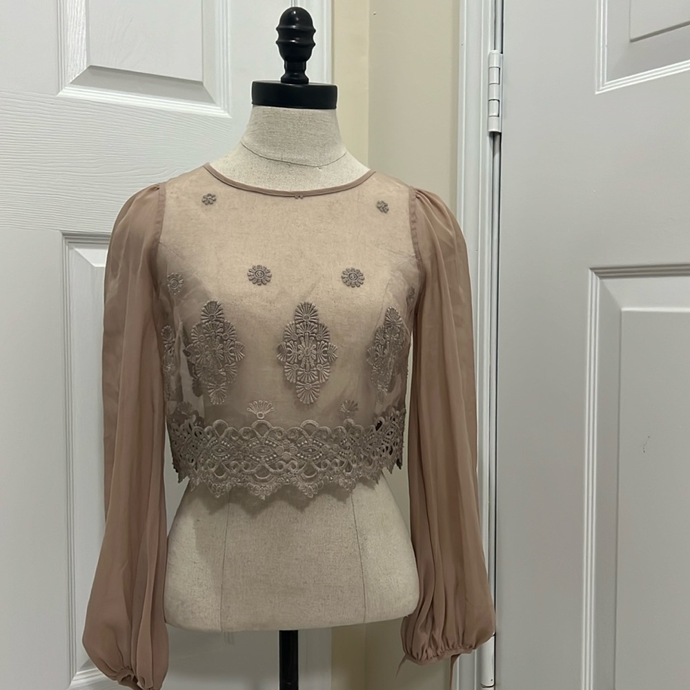 bebe Sheer Embroidered Blouse in Blush Taupe